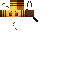 Texture for BEE