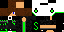Texture for _CreaperPiper