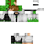 Texture for TheCreeperFarts