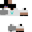 Texture for cauanziiN