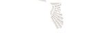 Texture for Angel-elytra