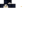 Texture for Pinguïn Template