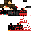 Texture for Pro1v2