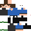 Texture for ThePhoenix