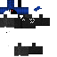 Texture for Half Guest