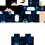Texture for raptor bblue