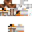 Texture for GemmaBee_blocks