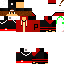 Texture for bashtohititela