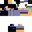 Texture for ds
