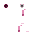 Texture for Blixer
