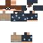 Texture for gui skin