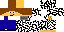 Texture for Zebra Kid