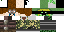 Texture for the ninja
