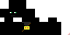 Texture for ninja