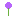 Texture for Allium