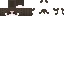 Texture for LewanCAB