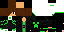 Texture for DragonX