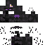Texture for ender