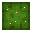 Texture for cactus_top