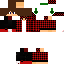 Texture for Линк