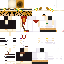 Texture for Bareta