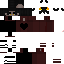 Texture for Fliper6