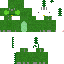 Texture for chameleon
