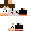 Texture for SrQuantion