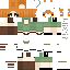Texture for ideal