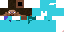 Texture for defending steve