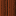 Texture for Jungle Wood