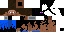 Texture for endersteve