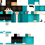 Texture for steve2.0