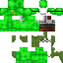 Texture for dream steve