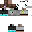 Texture for Steve