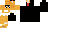 Texture for pro kot
