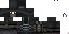Texture for ninja2