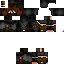 Texture for ninja