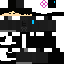 Texture for HIDE ROBLOX