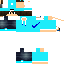 Texture for turtuga