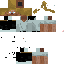Texture for Sigmaa