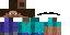 Texture for Stever