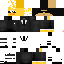 Texture for leo
