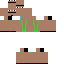 Texture for ds