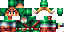 Texture for Link