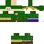 Texture for Link