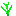 Texture for Fool's parsley