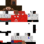 Texture for ラカゼット　スキン