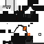 Texture for Waderer