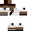 Texture for ds